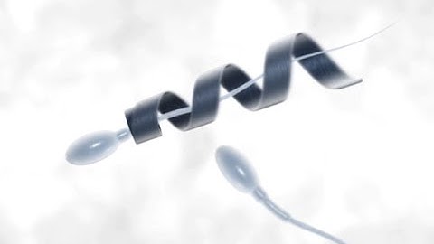 Spermbot could help solve male infertility - Headline Science