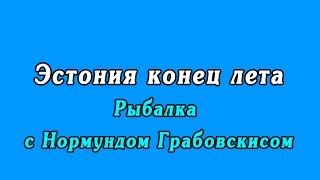 :    -    