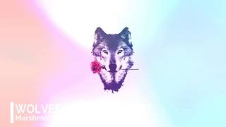 Selena gomez, marshmello - wolves ...