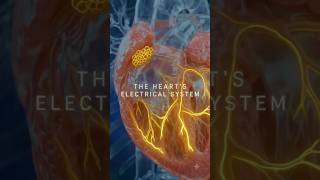 ⚕️ Understanding Arrhythmia | Irregular Heartbeat Disorder 🫀 #Arrhythmia #HeartHealth #Cardiology