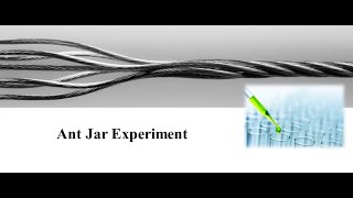 Ant Jar Experiment