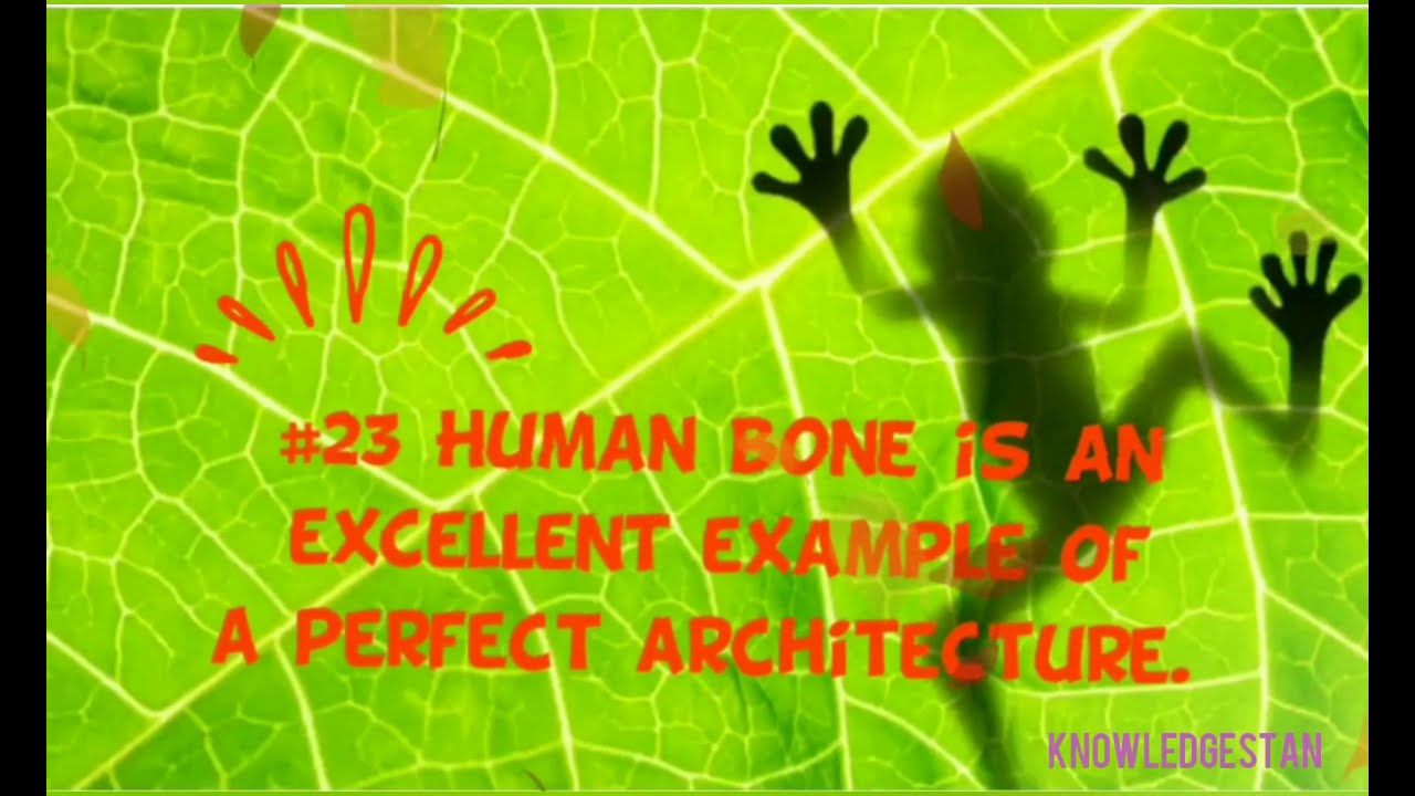 30 Biological facts biological facts you didn't know biology facts