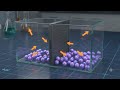 Thermodynamics - concept of pressure #3danimation #pw #viral #virak video