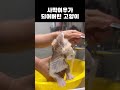 냥빨당해버렷 #고양이 #cat #각종유머 #viralvideo #고양이일상