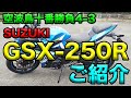 【SUZUKI GSX250Rご紹介（インプレ）！】空波鳥十番勝負4-3 バイクレンタルレビュー