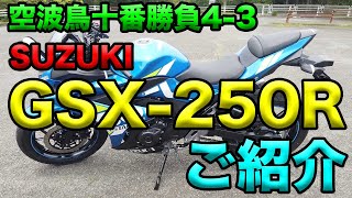 【SUZUKI GSX250Rご紹介（インプレ）！】空波鳥十番勝負4-3 バイクレンタルレビュー