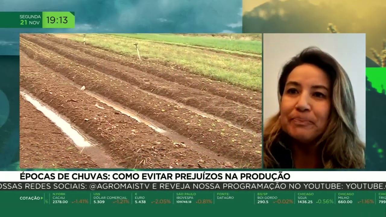 Épocas de chuvas: como evitar prejuízos na produção