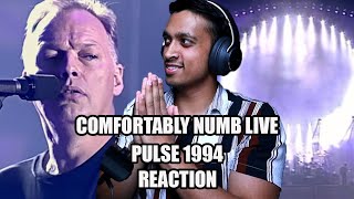 Hip Hop Fan Reacts To Pulse Comfortably Numb Live 1994 by Pink Floyd