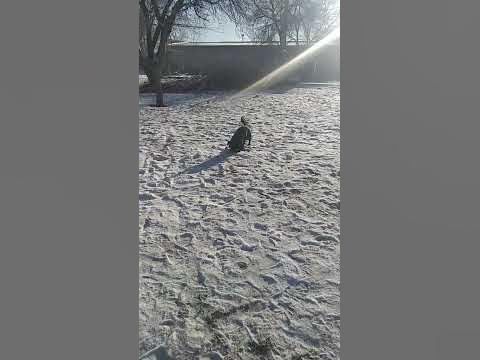 Тама Тама - YouTube