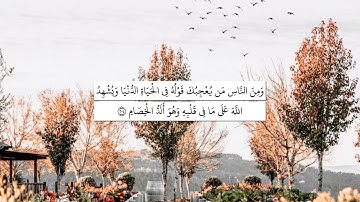 وَمِنَ النَّاسِ مَن يُعْجِبُكَ قَوْلُهُ - القارئ عبدالله الموسى - سورة البقرة - QHD