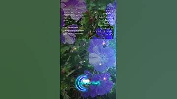 سُورَةُ الفَاتِحَة – بصوت القارئ فتحي الكردي