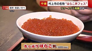 村上市の名物“はらこ丼フェスティバル”開催！　サケ・イクラ高騰で「値上げに悩んだ」【新潟】 (21/11/26 19:12)