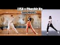 Lisa x cheshir ha  long nights  dance cover comparison by anne v