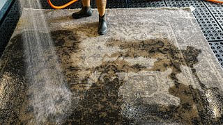 Cleaning Rug with Dog Vomit￼