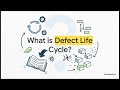 Defect Life Cycle Excerpt