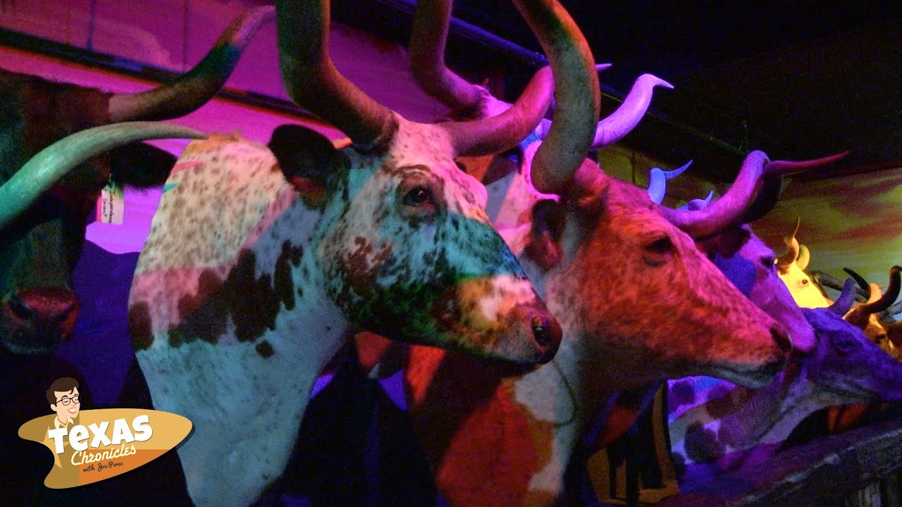 Texas Chronicles: Texas Longhorn Legacy