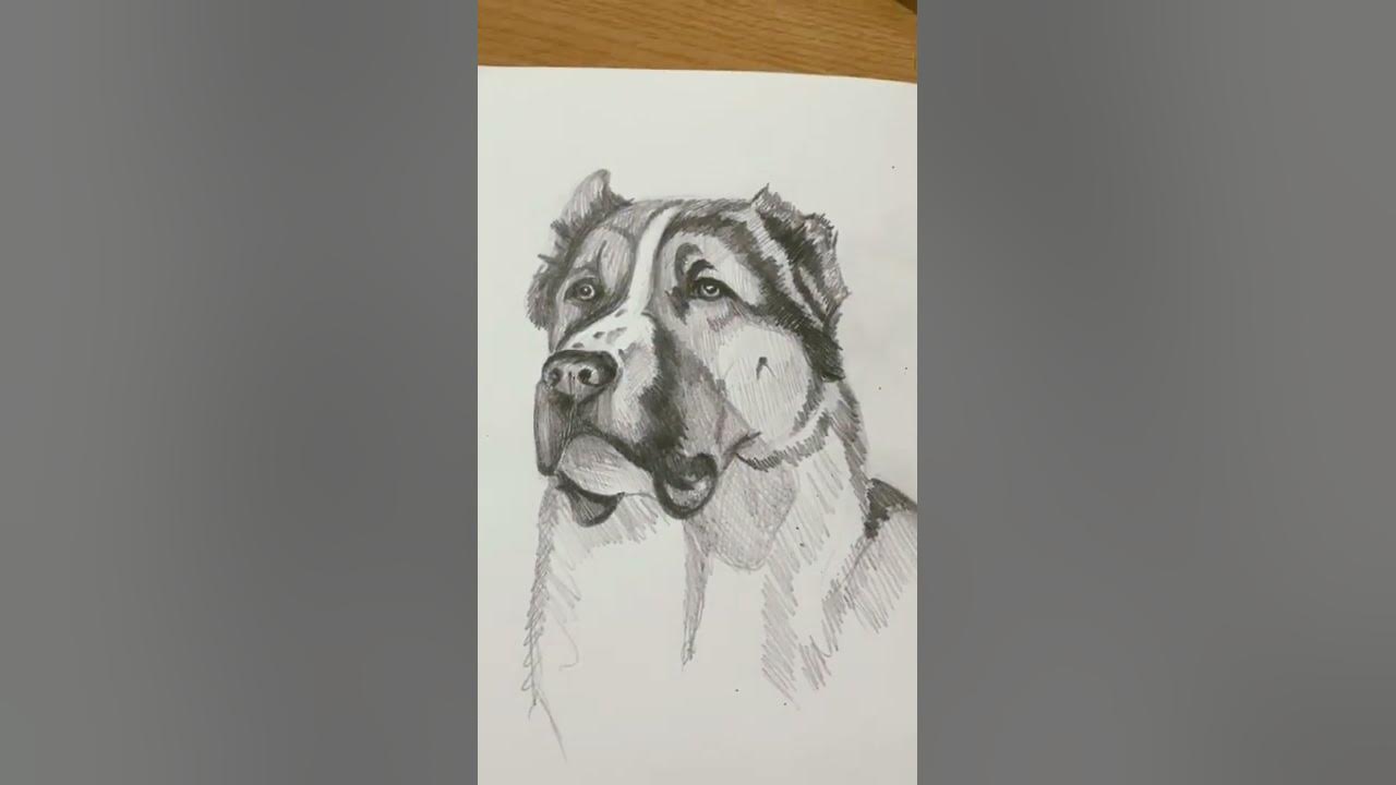 Порно сноты