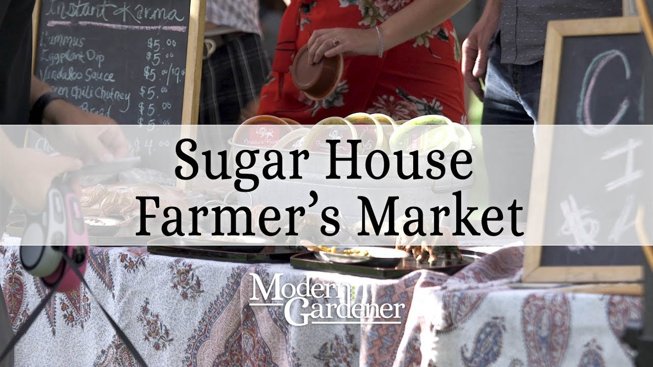 Free Yoga and Locally Brewed Kombucha at Sugarhouse Farmer's Market YouTube