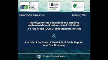 Pathways for the consistent & effective implementation of NbS: the role of the IUCN Global Standard