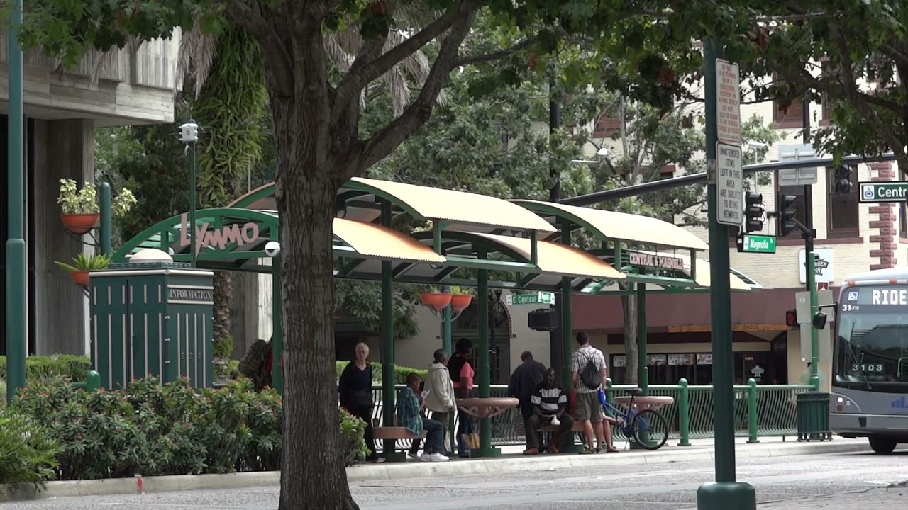 Free Bus Stop Stock Video Footage YouTube  NCV