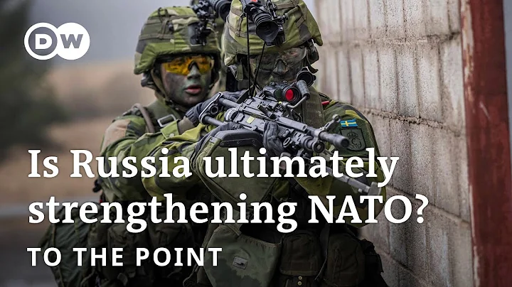 Sweden and Finland in NATO: a strategic defeat for Russia? | To The Point - DayDayNews