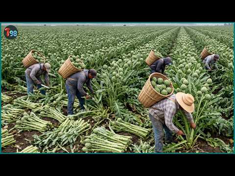 51+ Record-Breaking Mega Harvests 💥 You Won't Believe How Massive Amounts Are Harvested