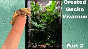 bioactive crested gecko vivarium part 2