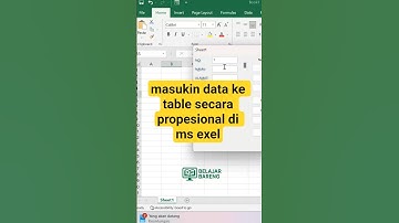 MASUKIN DATA KE TABEL EXEL SECARA CEPAT DAN PROPESIONAL PEMULA PASTI BISA