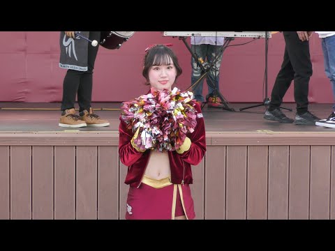 東北ゴールデンエンジェルス 応援練習（絶対勝つぞイーグルス