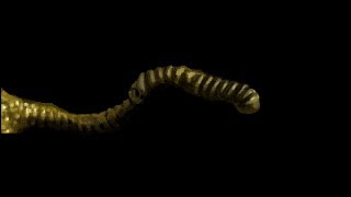 Unity 2D morphing test - 2014.05.19