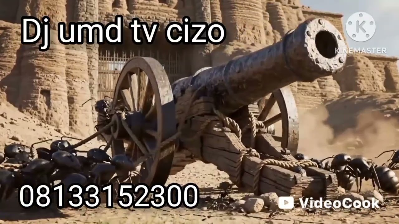 DJ umd tv cizo auta mg 2026