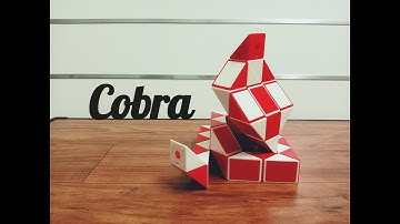 SNAKE CUBE: COBRA | SNAKE | (48 wedges)