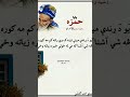Hamza Baba Best Pushto Poetry Viralshort Trendingshorts Poetry Unfreezemyaccount New 2025 Subscrib
