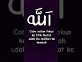 Kun anta