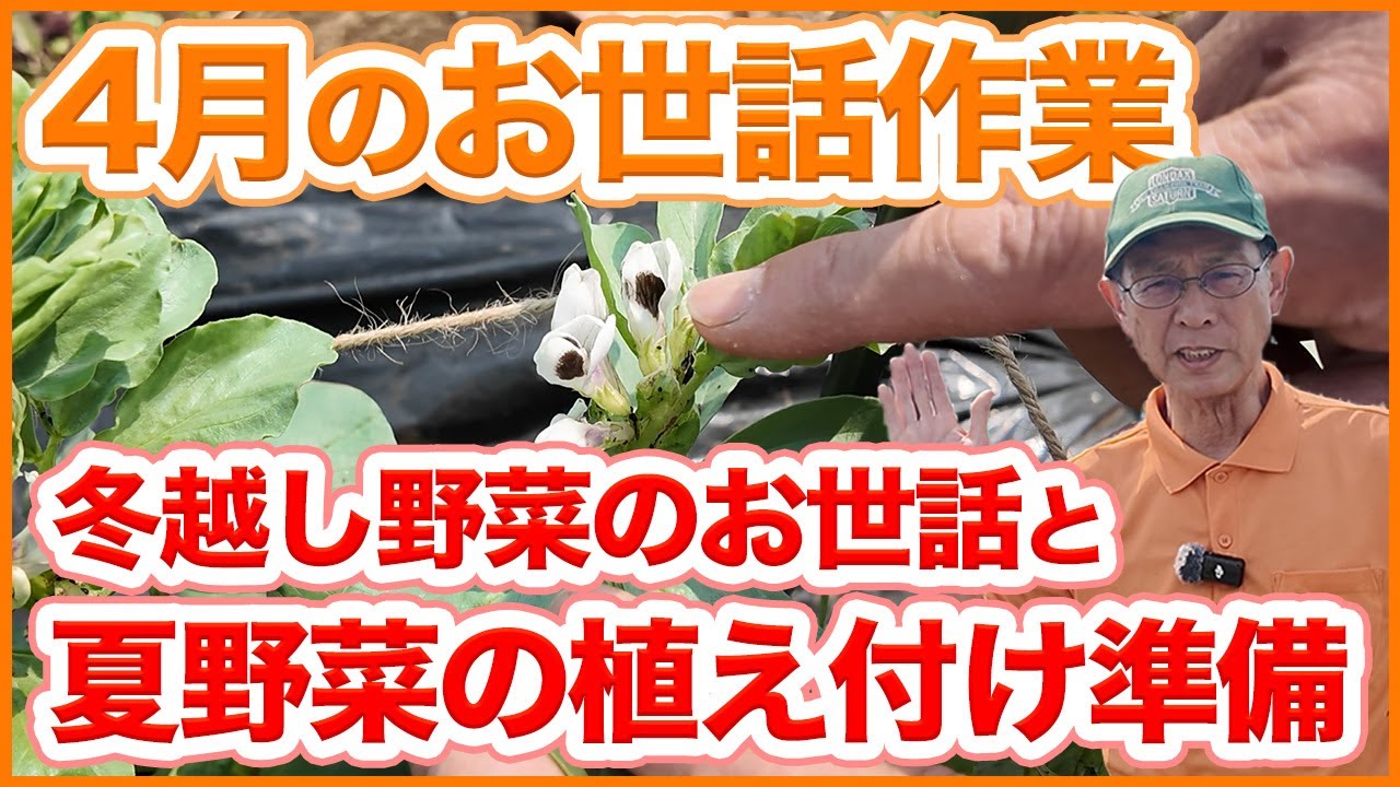 Care tasks to be done in April at home gardens and farms! A