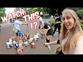 Speaking Japanese to Girls on Tokyo Streets: Our 14 Dogs Shock Entire City