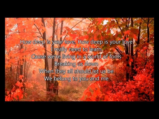 Bee gees - How Deep Is Your Love (Lyrics Song) class=