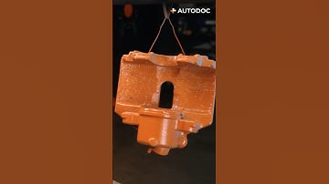 Step-by-step brake caliper refurbishment | AUTODOC #shorts