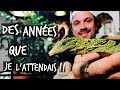 J'AI ACHETÉ LE REPTILE DE MES RÊVES !-TOOPET