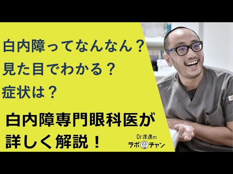 白内障とは？