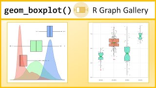 Boxplots in R with ggplot and geom_boxplot() [R- Graph Gallery Tutorial]