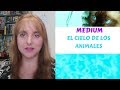 El cielo de los animales. # Aprender ser médium