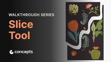 Walkthrough Series: Slice Tool