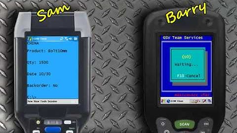 Georgia SoftWorks Telnet Server for Windows - Featuring: Team Services Transfer