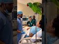 Parrot Comedy Gone Wild – Cat & Dog Can’t Stop Reacting 😂