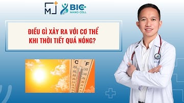 Điều gì xảy ra với cơ thể khi thời tiết quá nóng? | BIC NANO CELL - BS TRẦN MINH