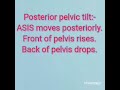 PELVIC TILT | SHIVANI SINGH STUDENT | APEX COLLEGE OF PHYSIOTHERAPY