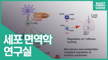 이승효 교수님 | 세포 면역학 연구실 Lee, Seung-Hyo | Cellular Immunology Laboratory