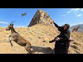 🍎🌄 Pomegranate in the Heart of the Mountains: An Amazing Meeting with Mountain Pazen🍈🐐