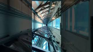 220 Meter Straight Down | Auckland Sky Tower Elevator Ride Down to the Ground #shorts